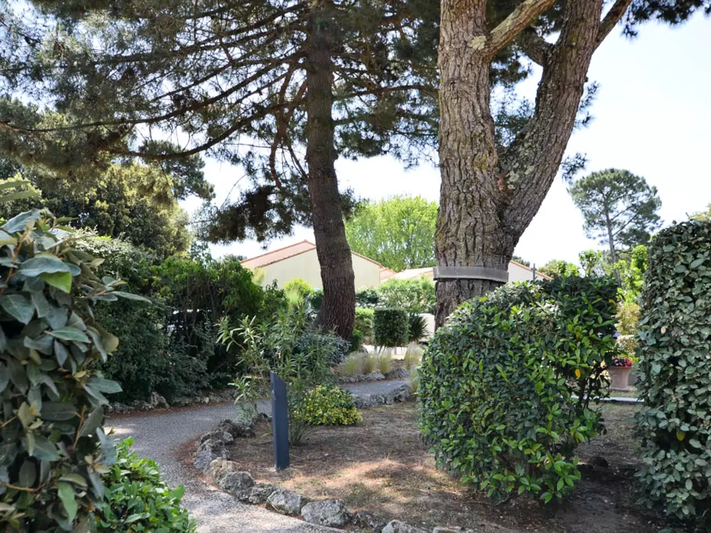 Maison de Vacances La Palmyre 268