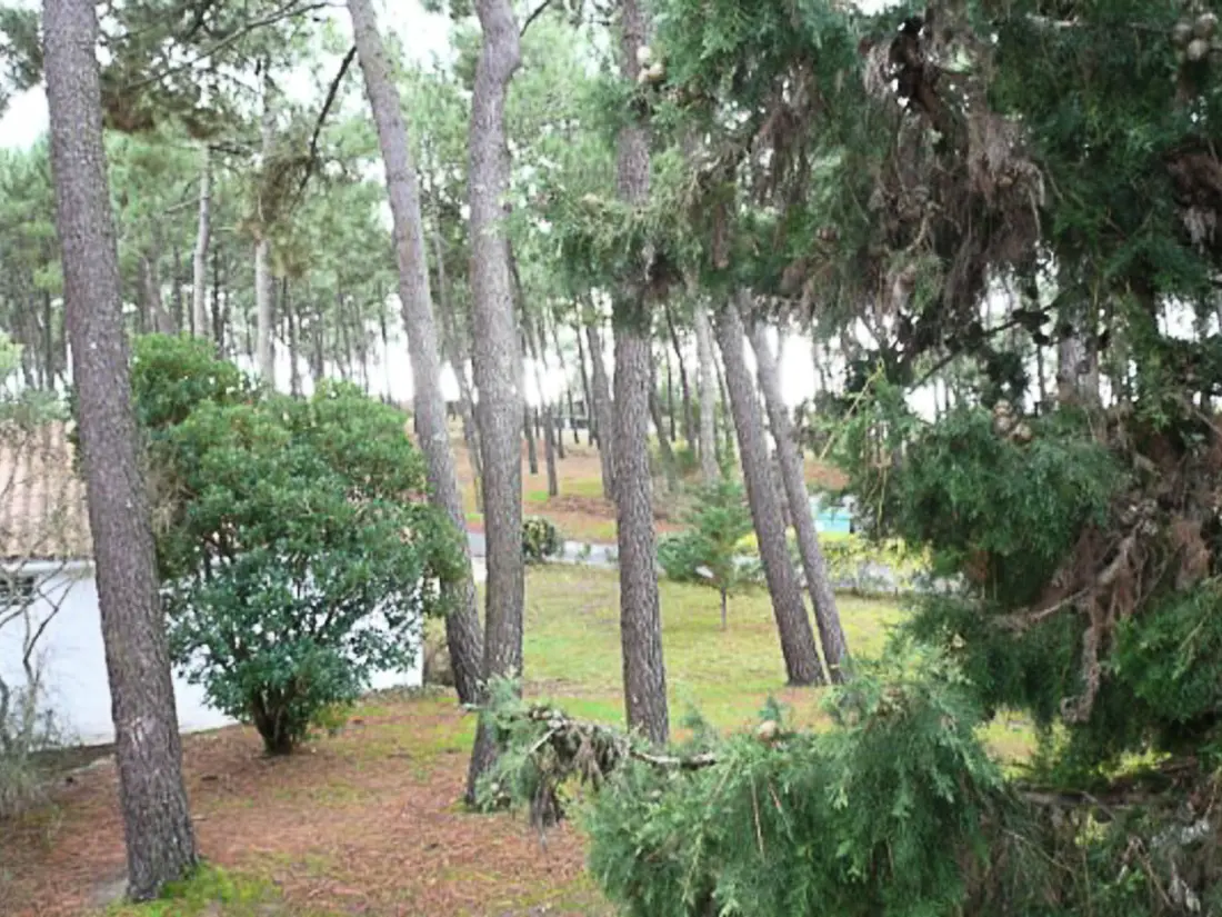 Maison de Vacances La Palmyre 282