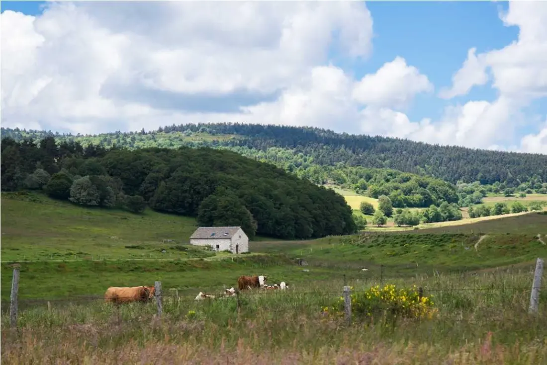 Gîte de France Le buron de champanouse 4/6 personnes 3 épis