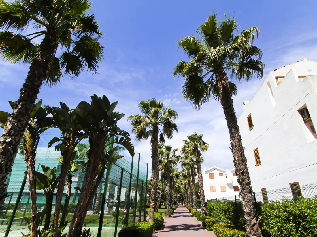 Location de Vacances La Pineda 143