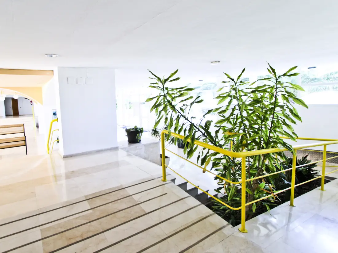 Location de Vacances La Pineda 143