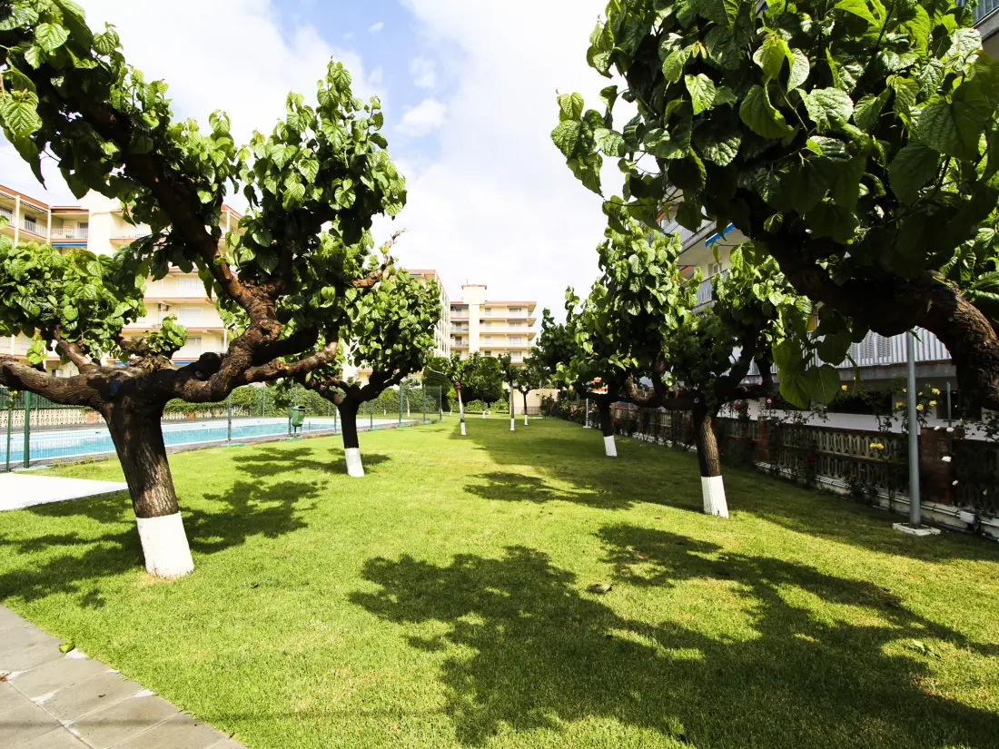 Location de Vacances La Pineda 153