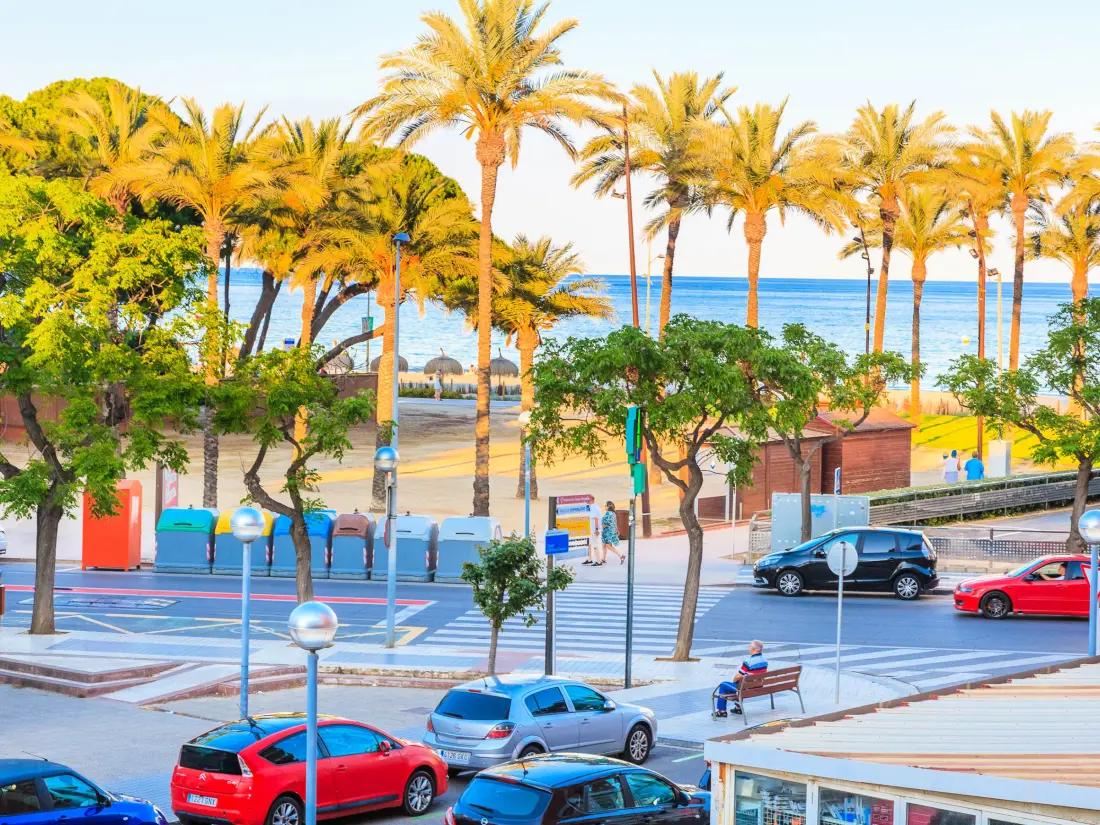 Location de Vacances La Pineda 159