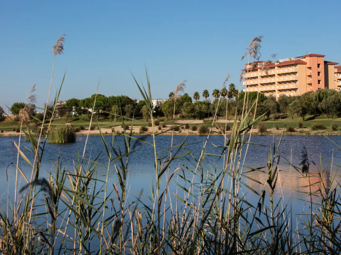 Location de Vacances La Pineda 163