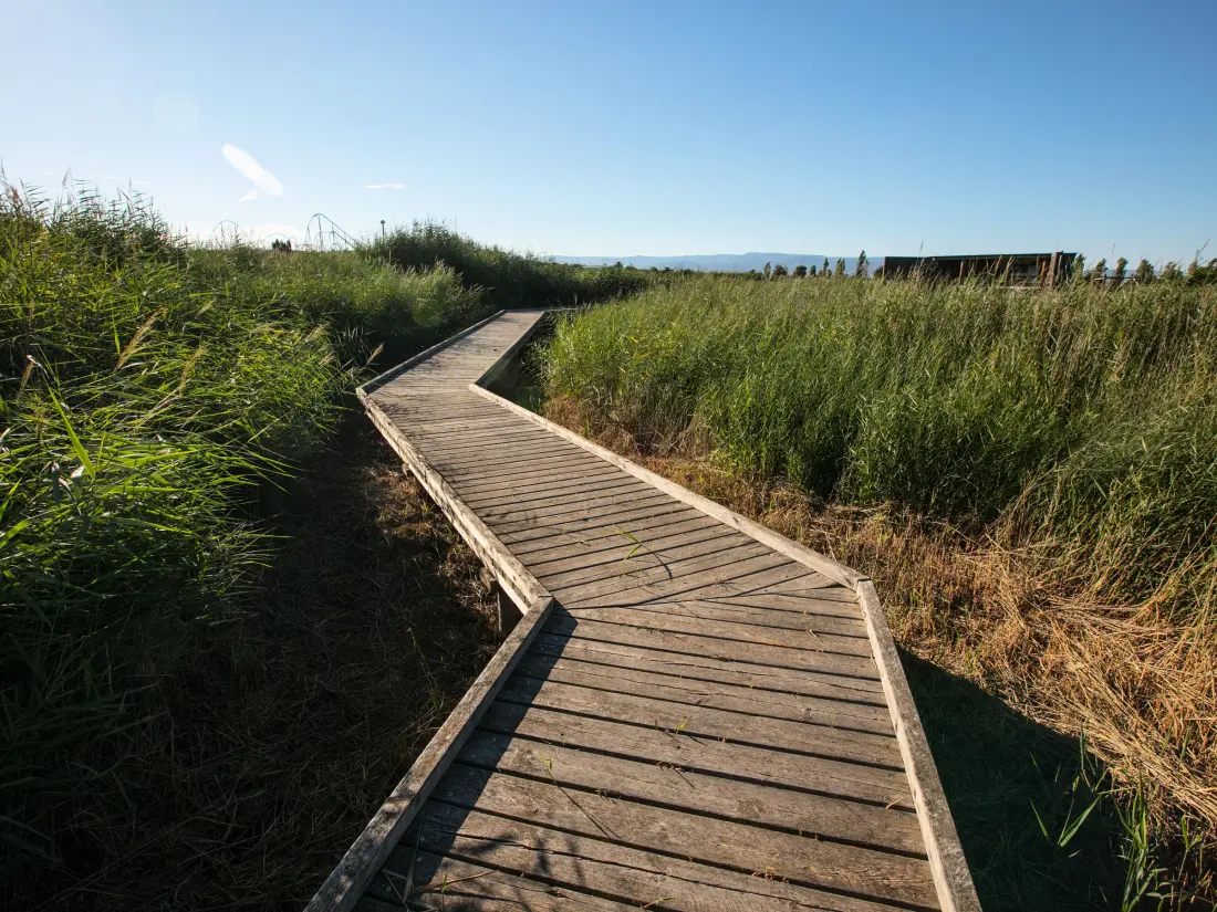 Location de Vacances La Pineda 163