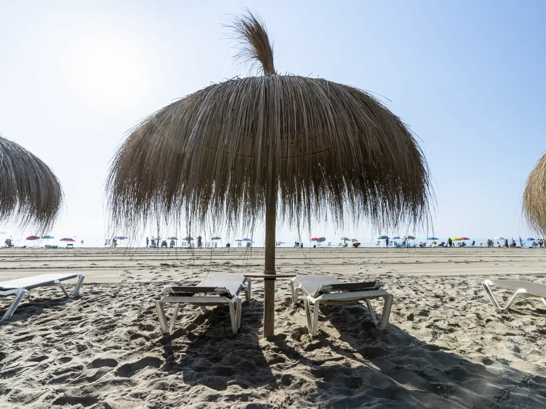 Location de Vacances La Pineda 171