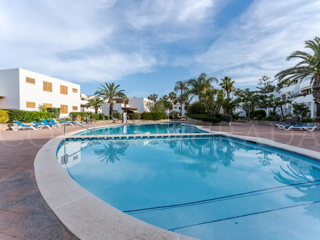Location de Vacances La Pineda 53