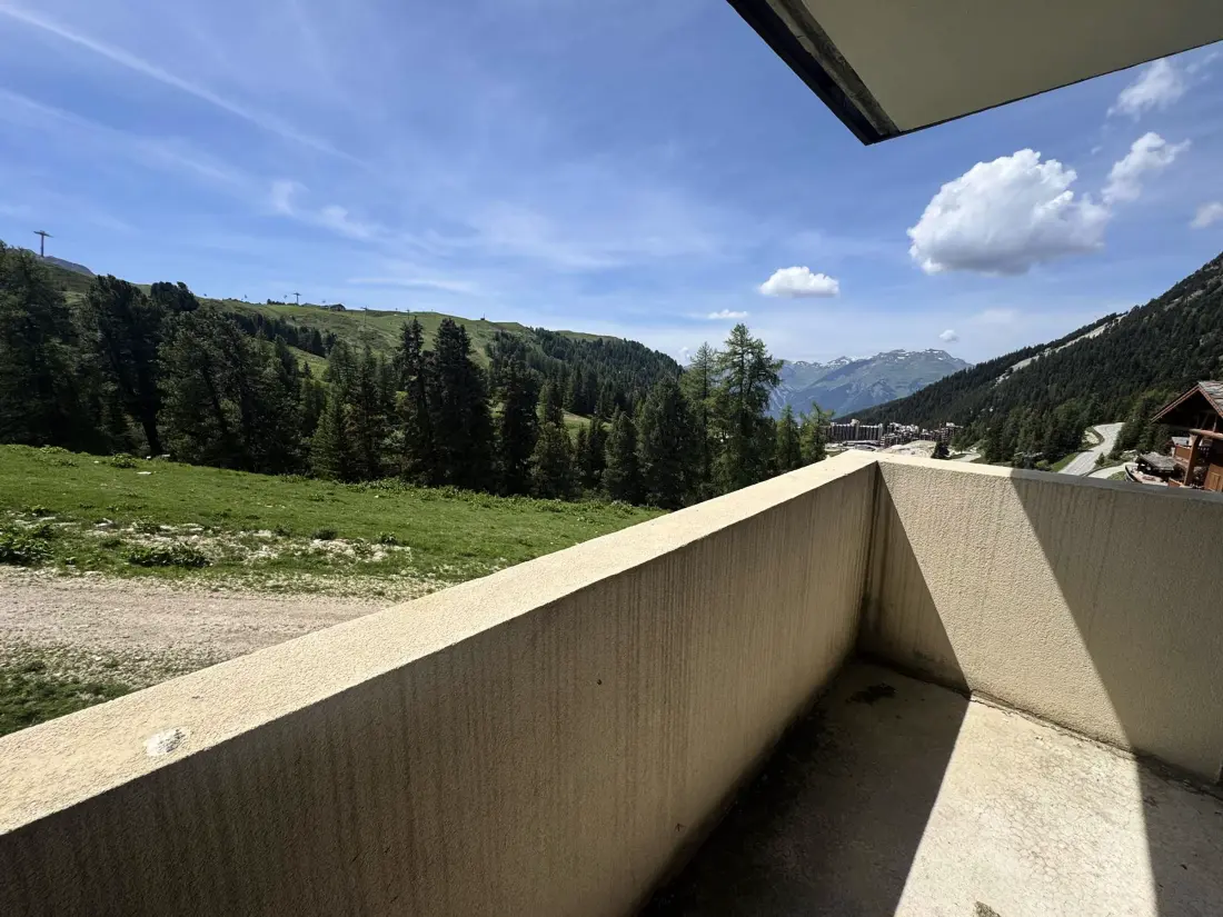 Location de Vacances Belle Plagne 199