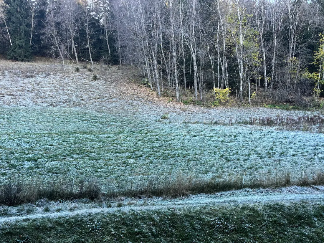 Résidence LES AVRIERES HAUT