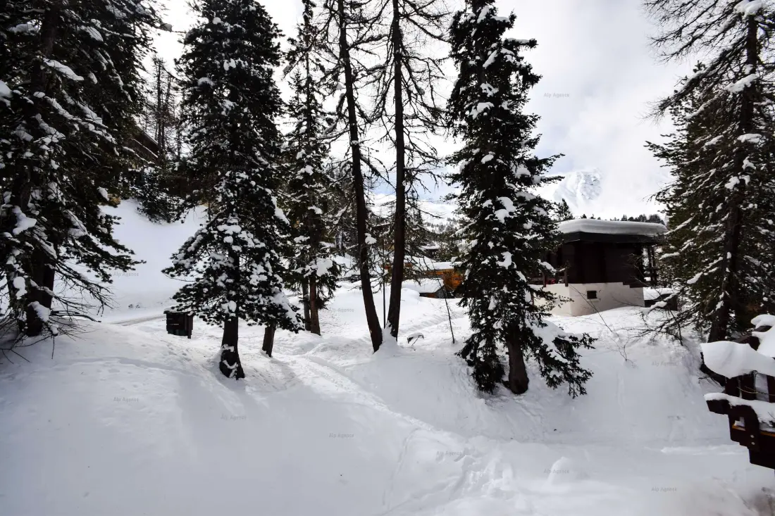 Chalet Le Mazot