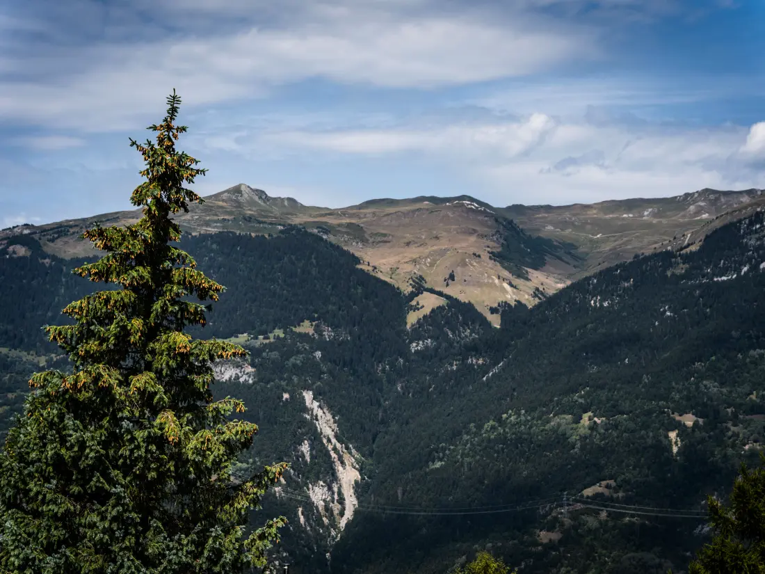 Location de Vacances La Plagne Montalbert  14