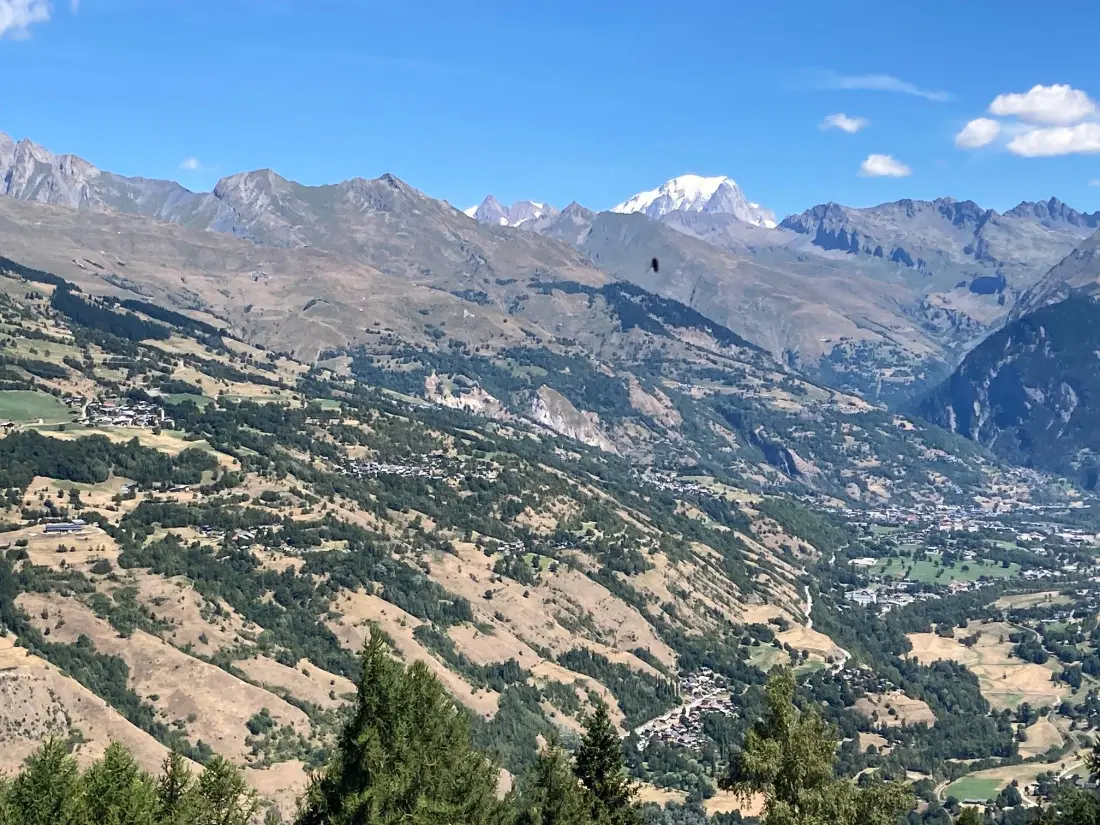 Les Chalets De Wengen