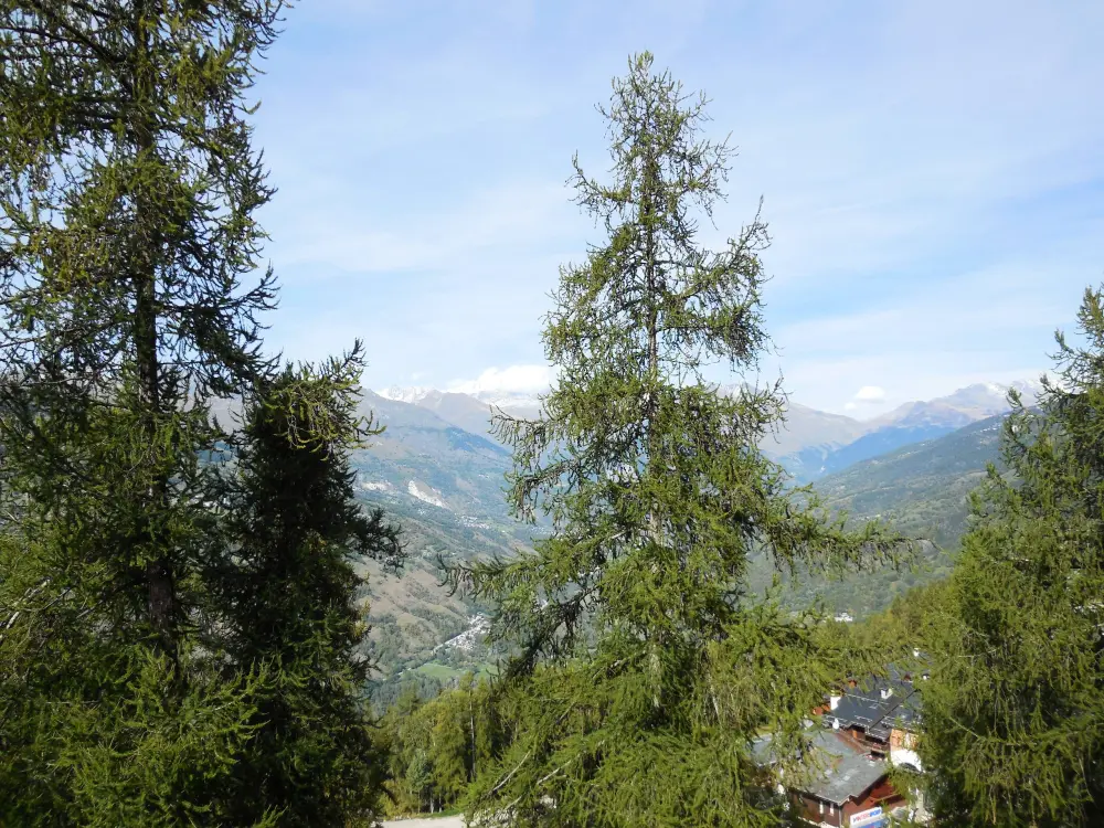Résidence La Lanterne