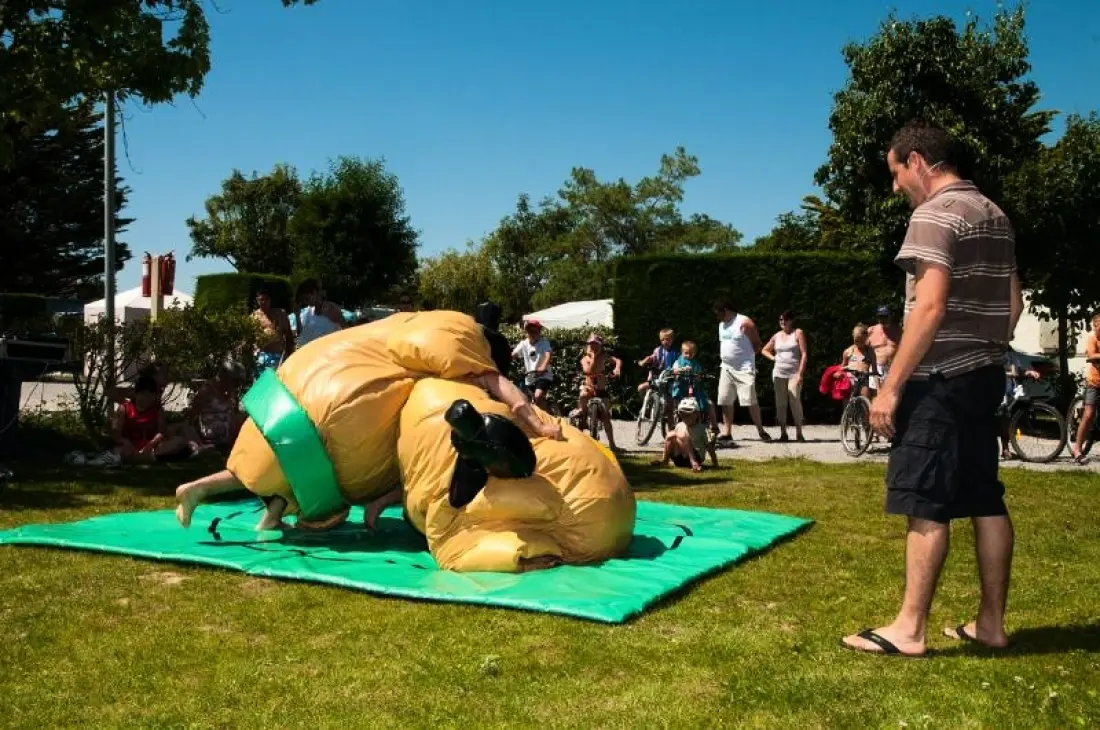 Flower Camping La Guichardière 4 étoiles★★★★