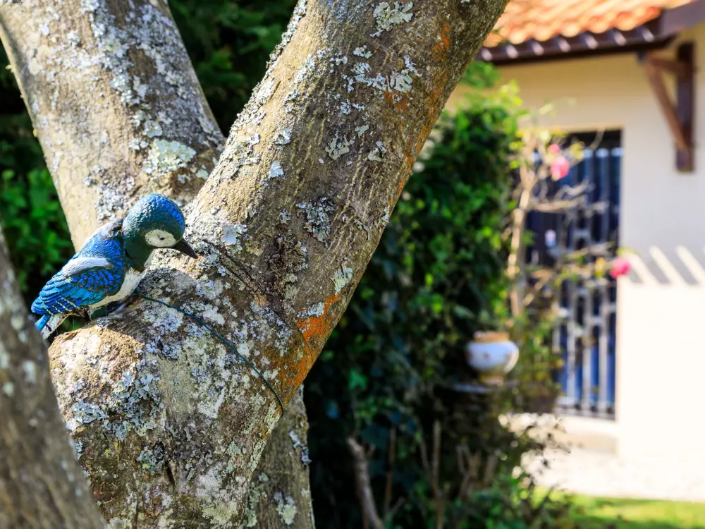 Maison de Vacances La Plaine-sur-Mer