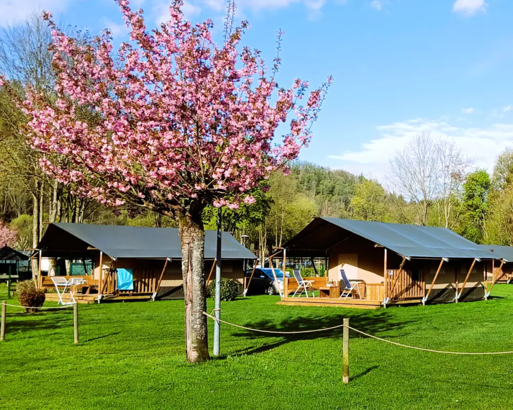 Camping Floreal La Roche-en-Ardenne