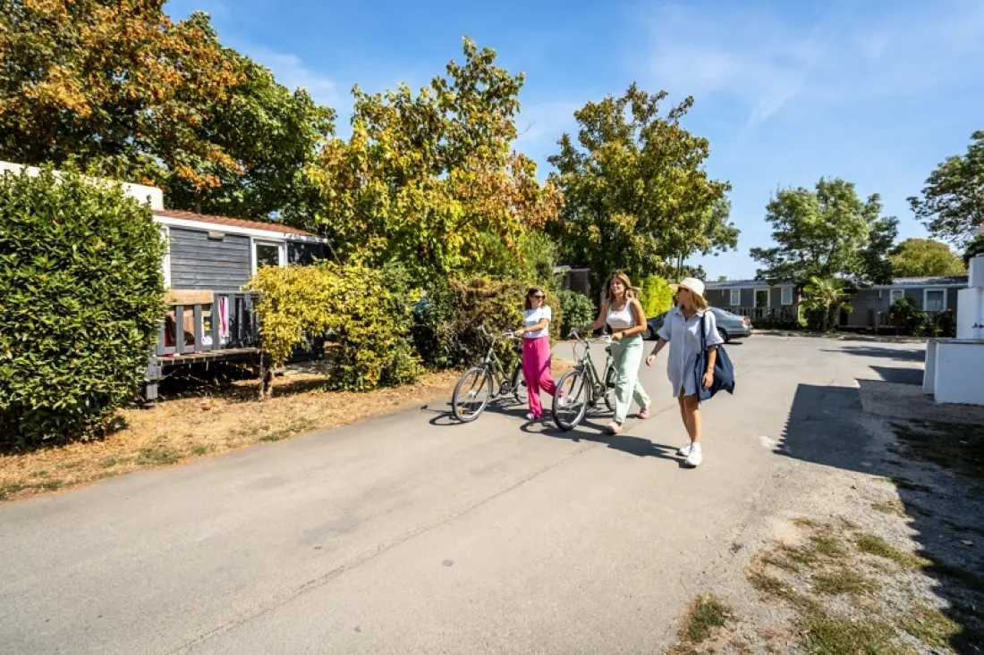 Camping Paradis Au Port de l'Houmeau 4 étoiles★★★★