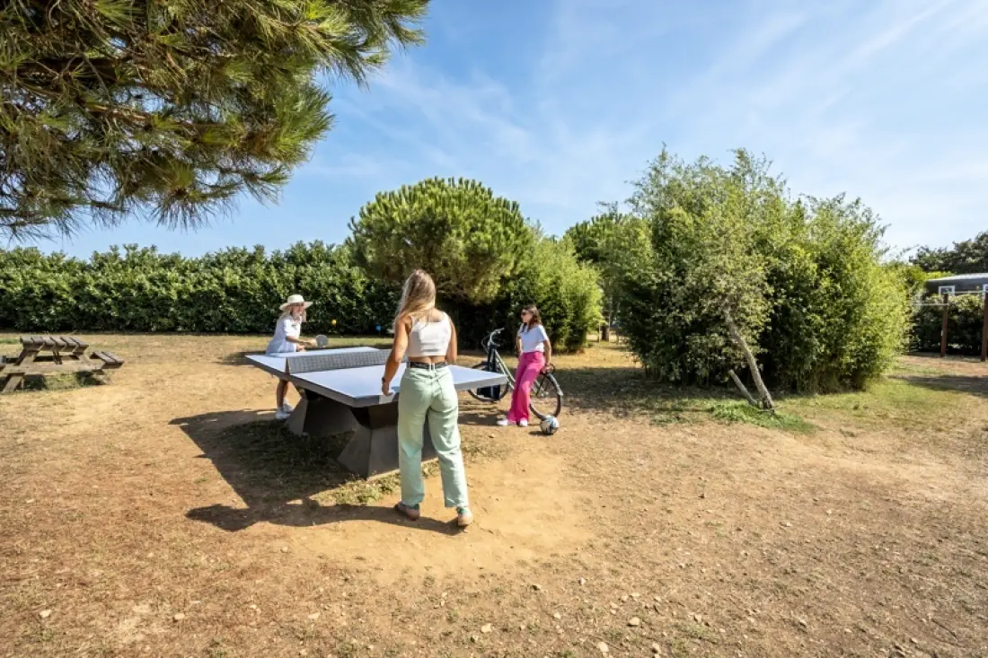 Camping Paradis Au Port de l'Houmeau 4 étoiles★★★★