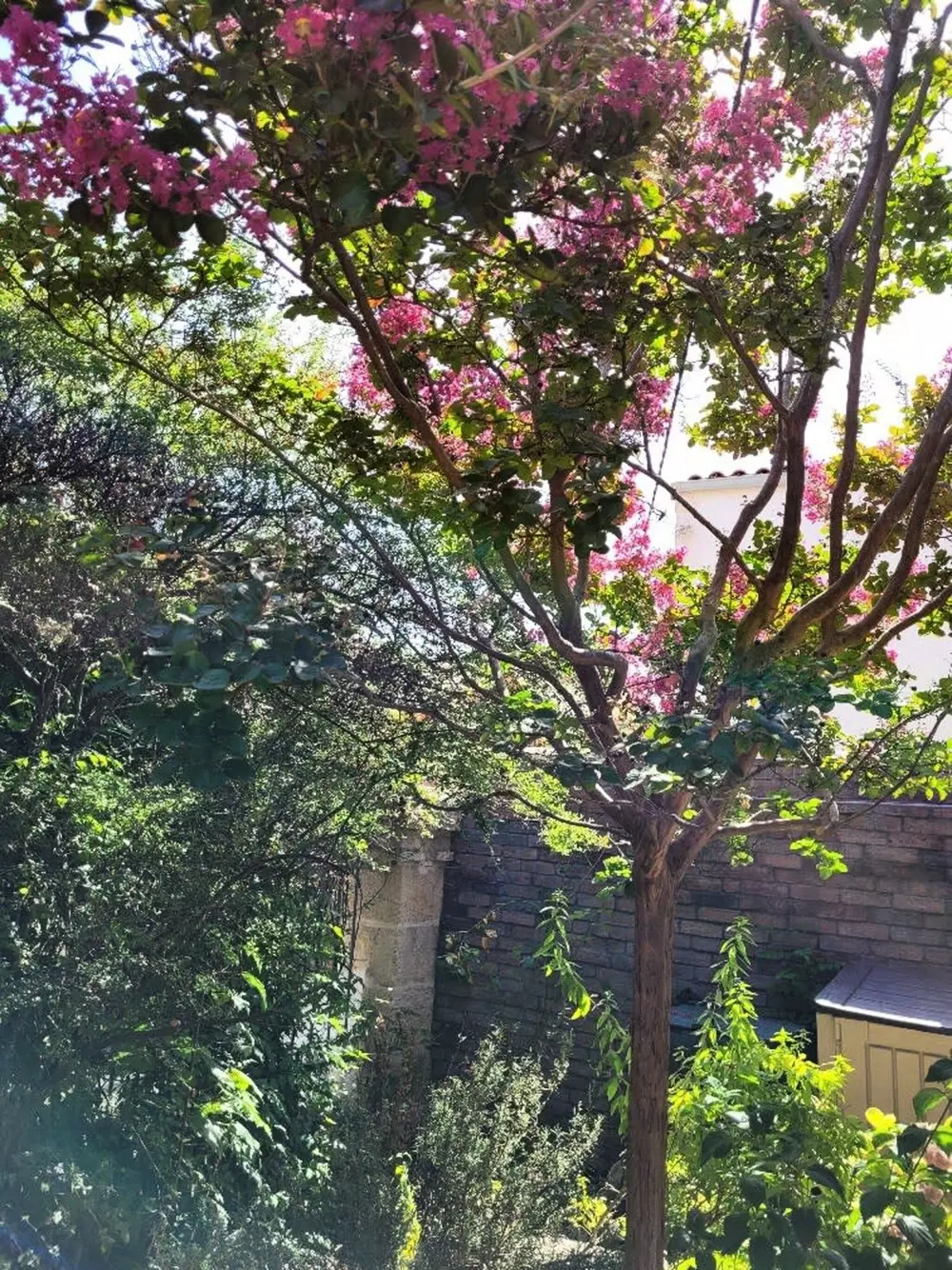 Maison à La Rochelle