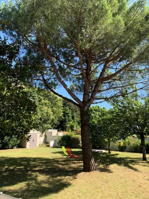 Maison De Caractère De 6 Pièces à La Rochelle