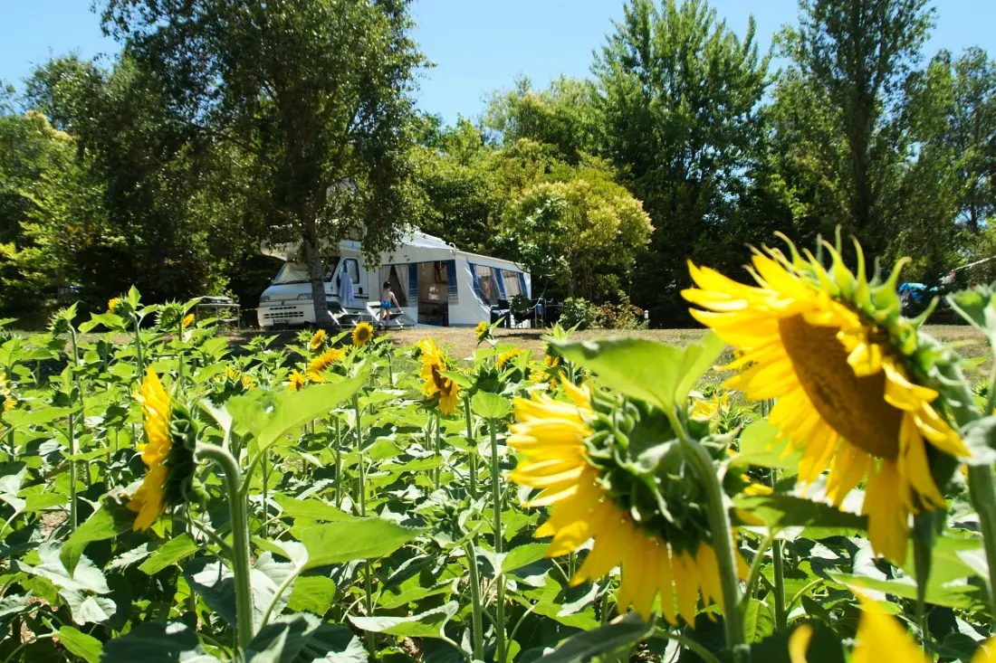 Le Camp de Florence
