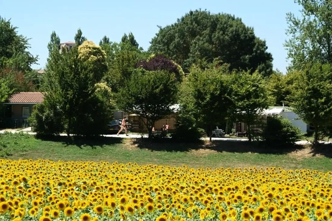 Le Camp de Florence