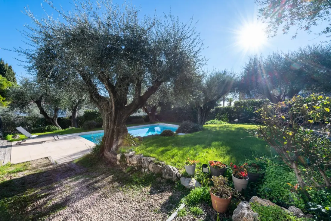 Résidence Maison Au Calme, Piscine, Proche Cannes