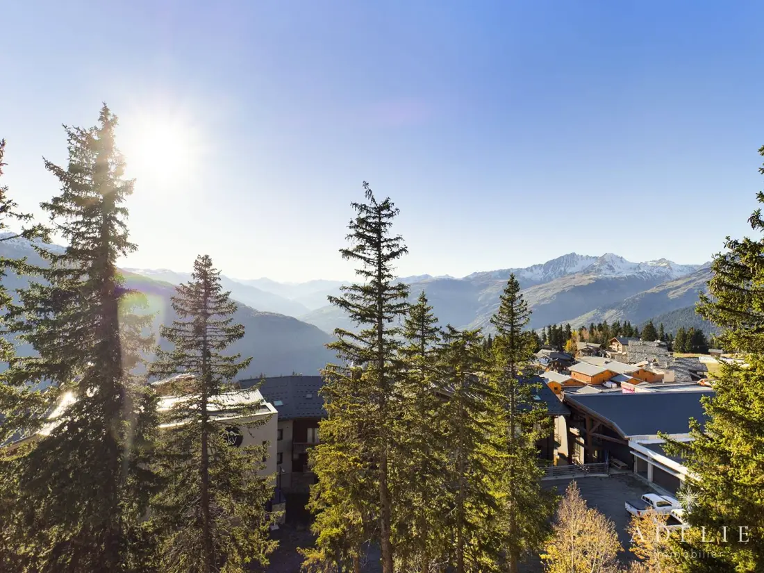Résidence Vanoise