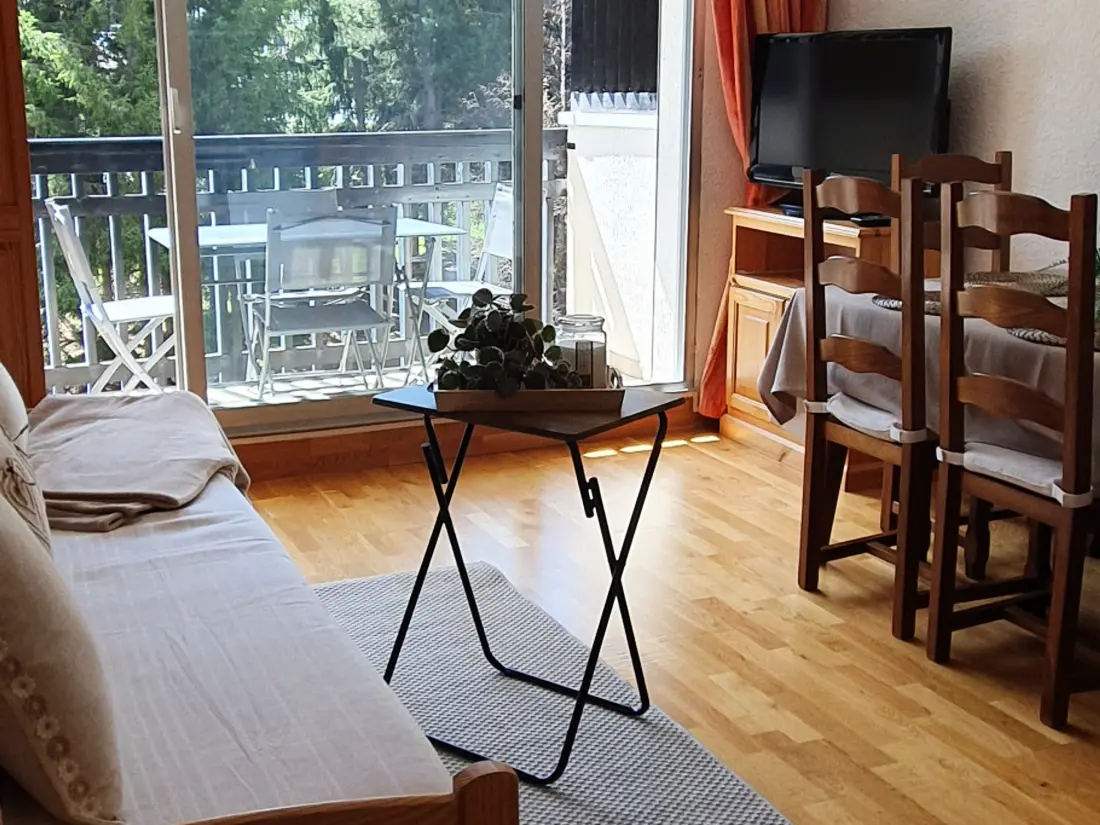 Location de Vacances La Salle-les-Alpes 10