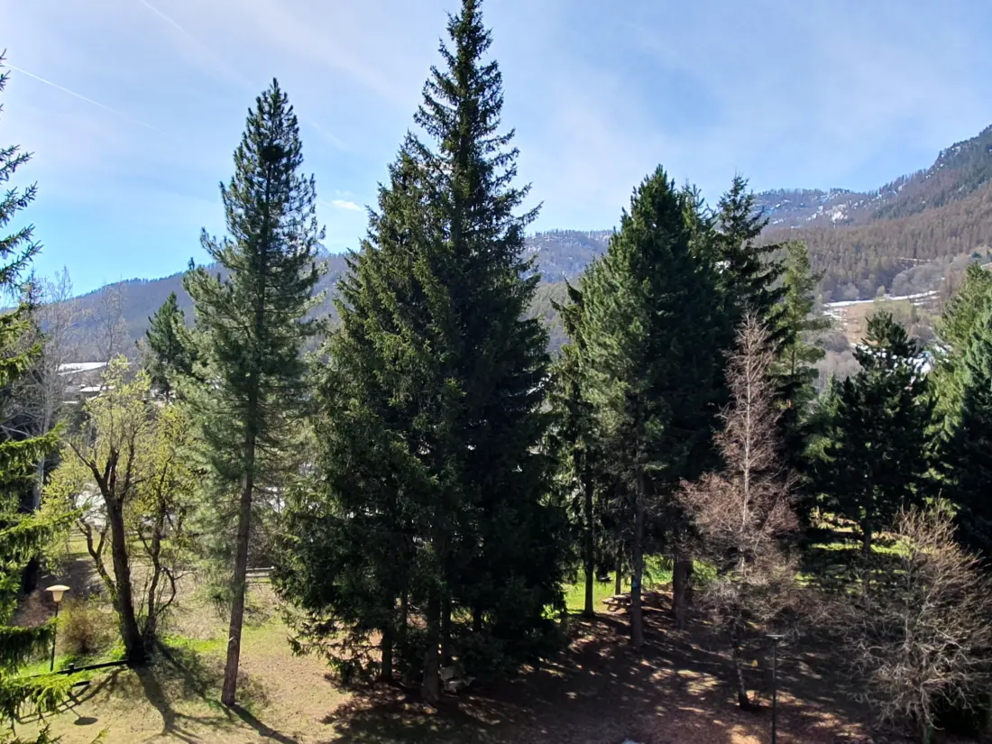 Location de Vacances La Salle-les-Alpes 10