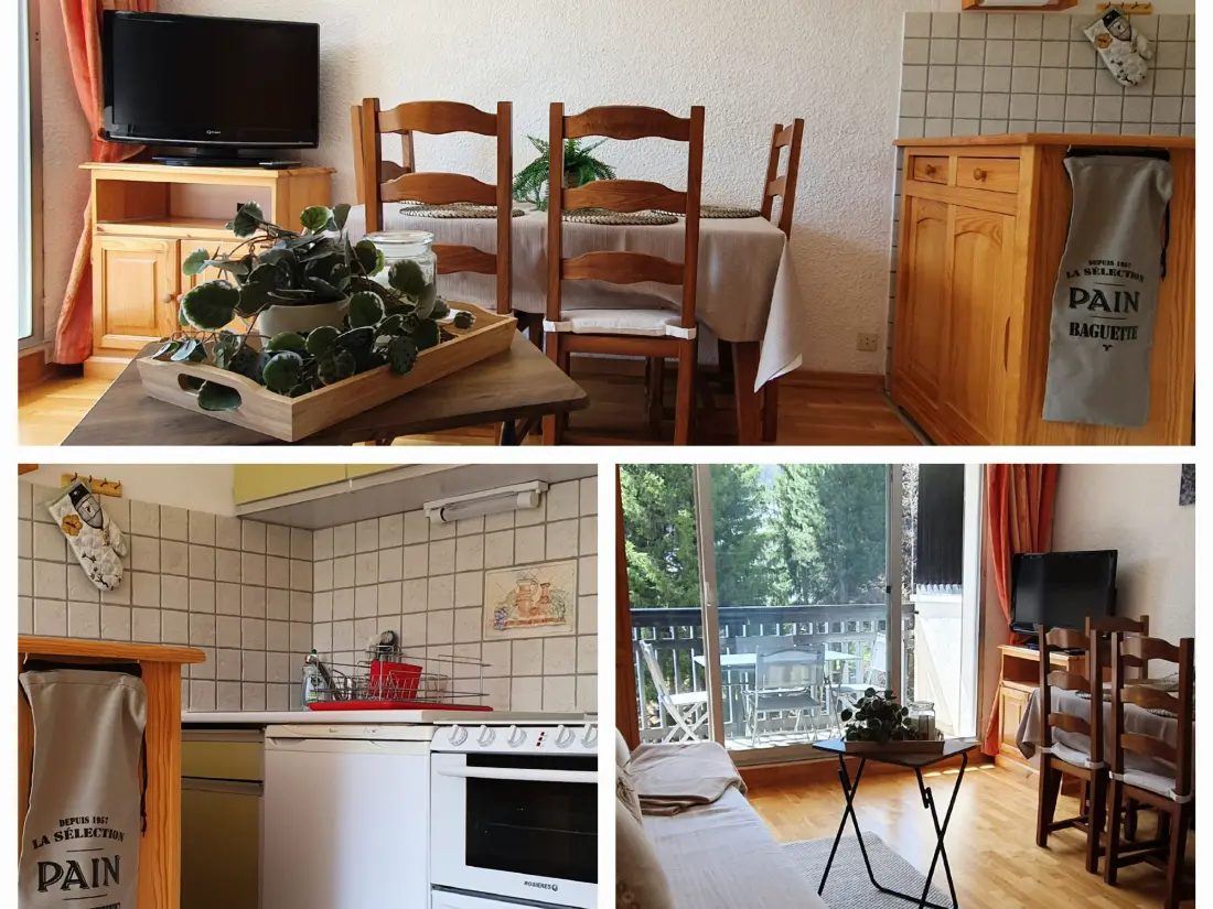 Location de Vacances La Salle-les-Alpes 10