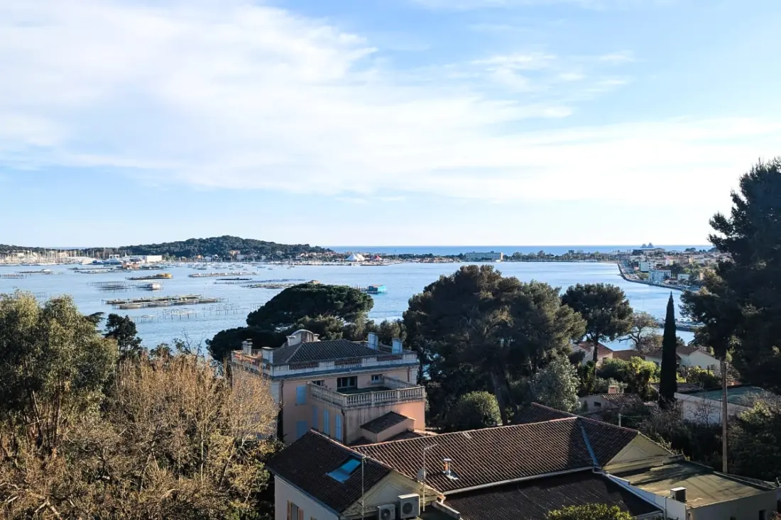 Studio De Standing Avec Vue Mer Et Piscine