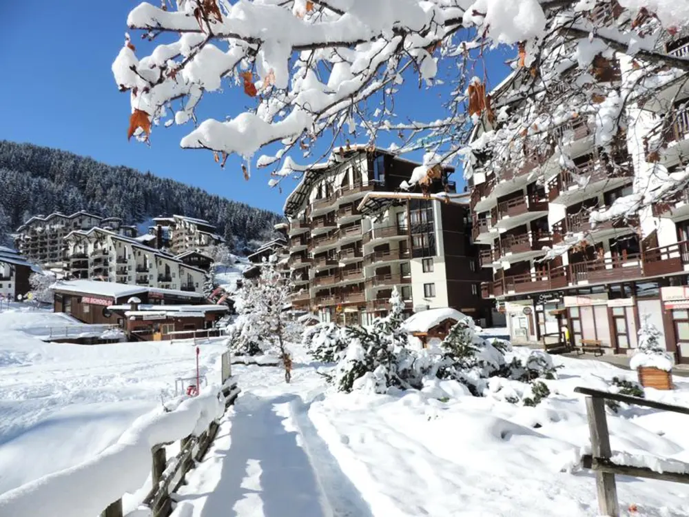 Location de Vacances La Tania 29