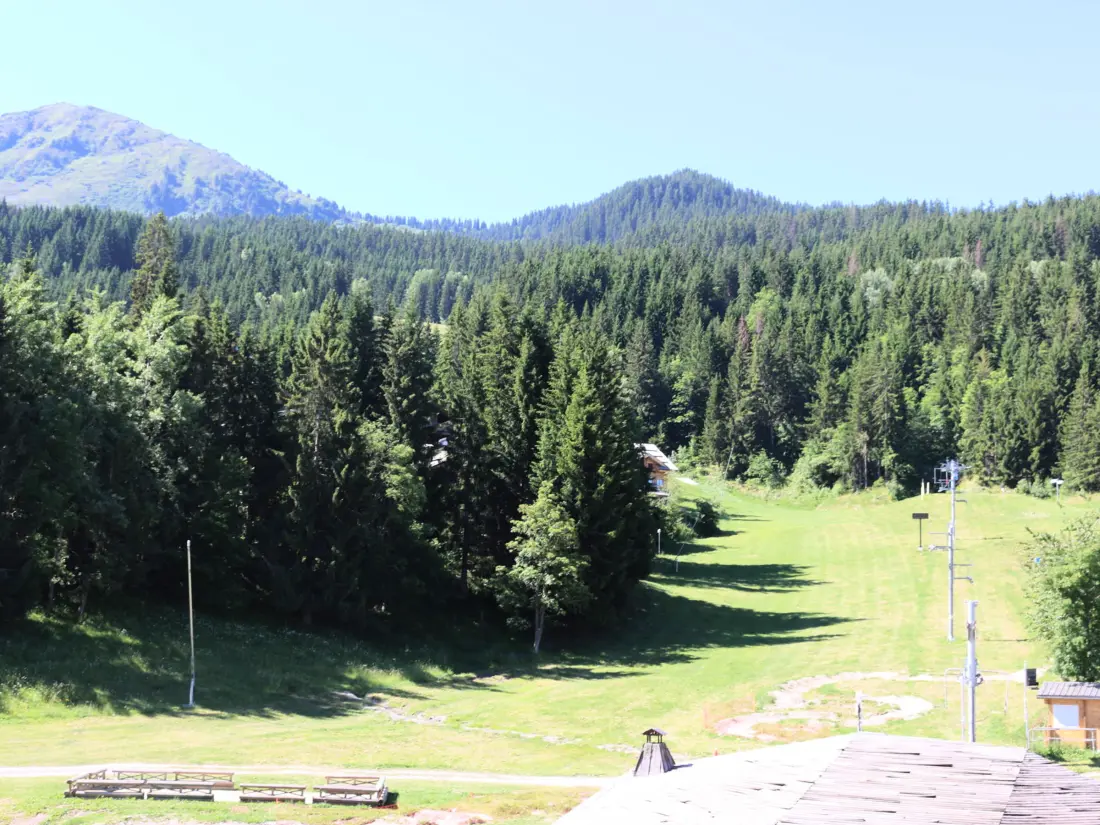 Location de Vacances La Tania 29