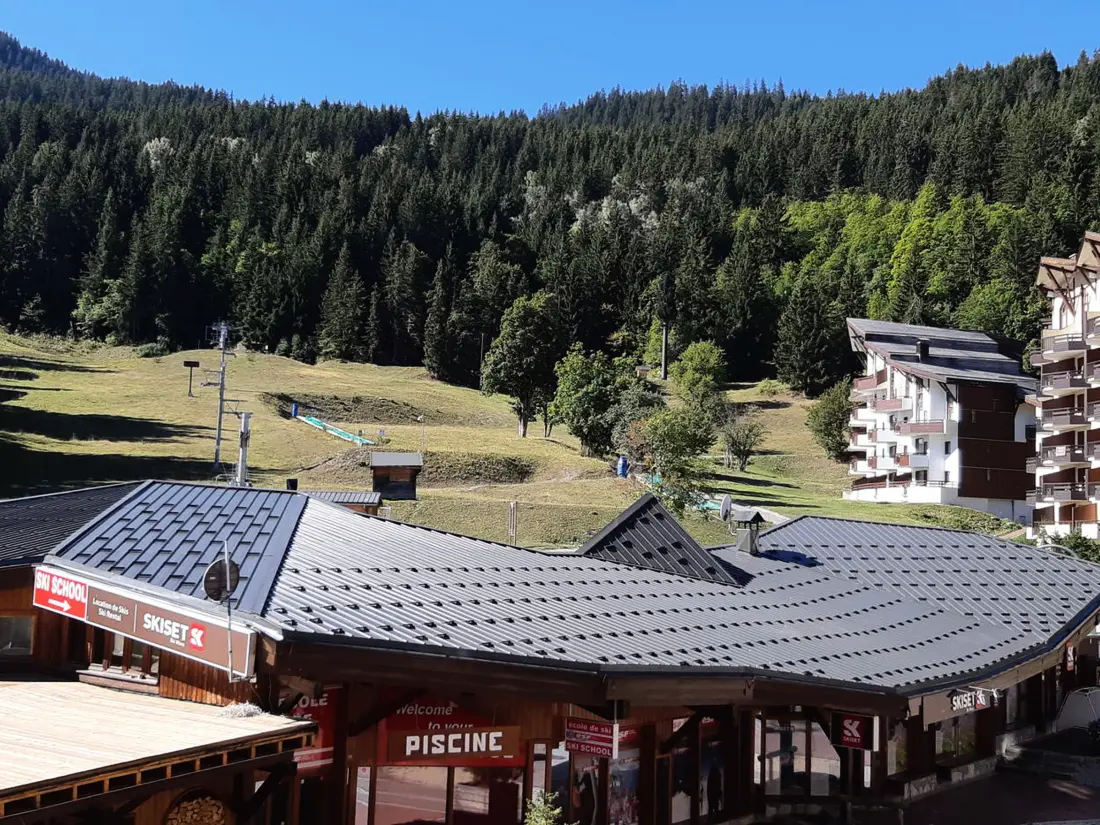 Location de Vacances La Tania 29