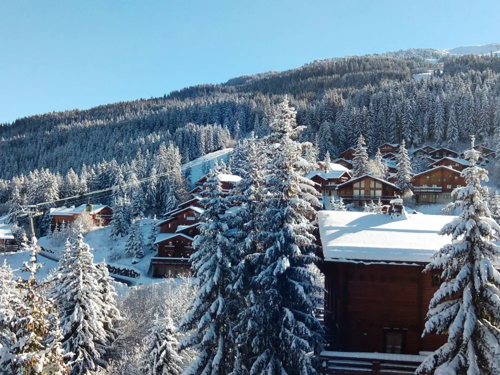 Location de Vacances La Tania 33