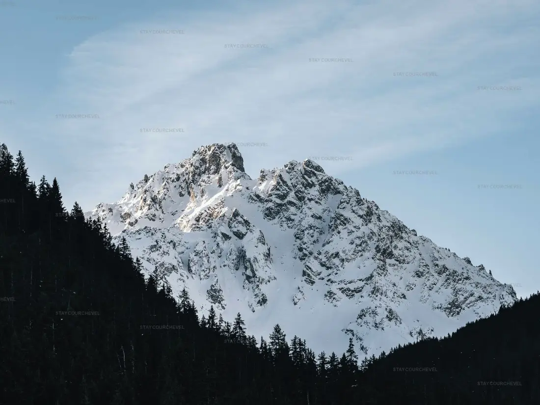 Location de Vacances La Tania 51
