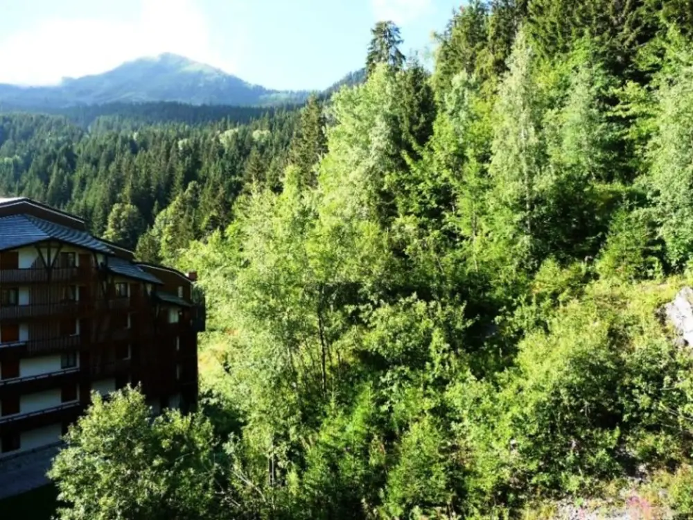 Location de Vacances La Tania 53