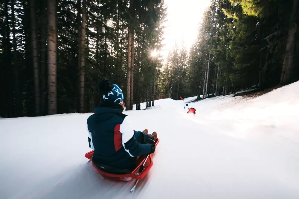 Résidence Grand Bois B