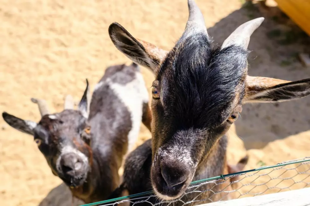 Camping Grand Pré2 étoiles★★