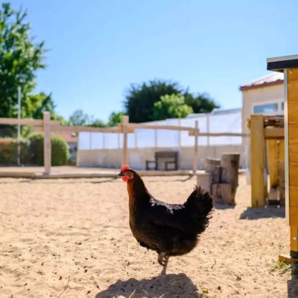 Camping Grand Pré2 étoiles★★