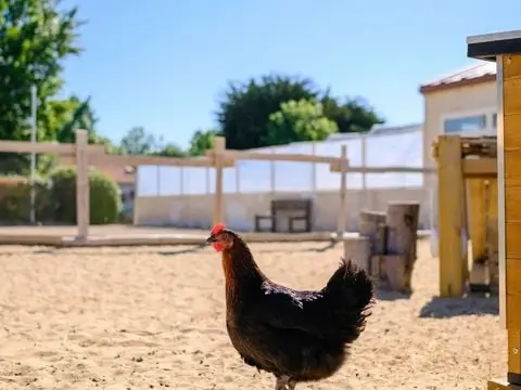 Camping Le Grand Pré 2 étoiles★★
