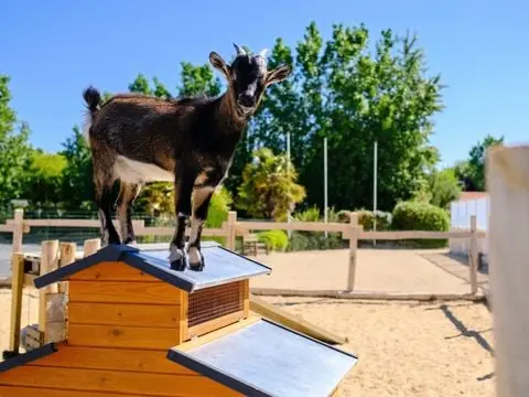 Camping Le Grand Pré 2 étoiles★★