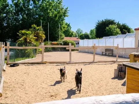Camping Le Grand Pré 2 étoiles★★