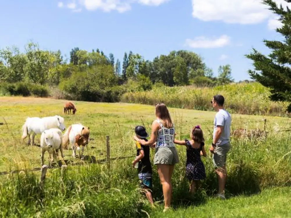 Camping Le Grand Pré 2 étoiles★★