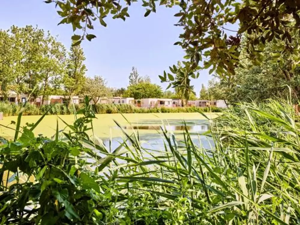 Camping Du Jard  4 étoiles★★★★