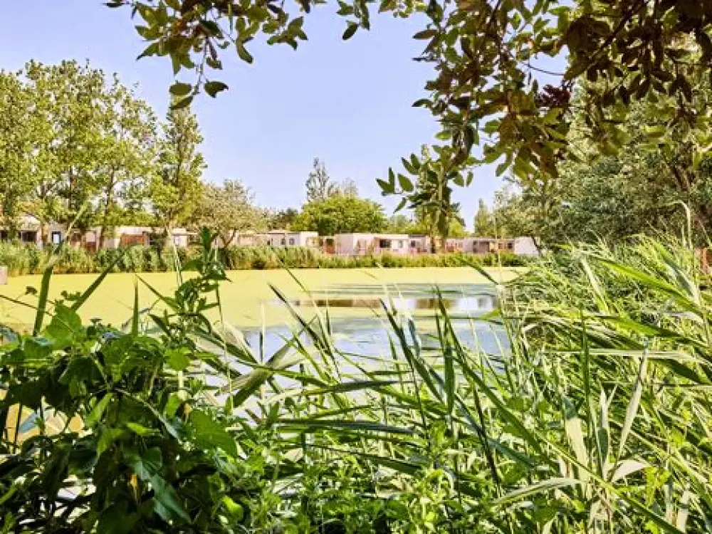 Camping Du Jard  4 étoiles★★★★