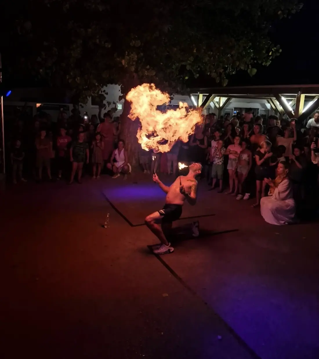 Flower Camping l'Escale du Perthuis 4 étoiles★★★★