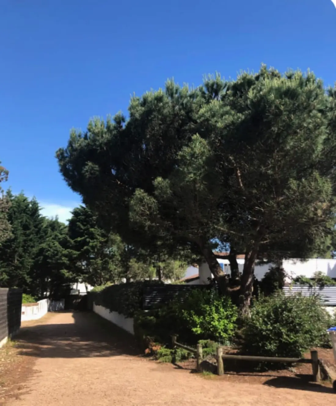 Paisible Entre Plage Et Terrasses Ensoleillées