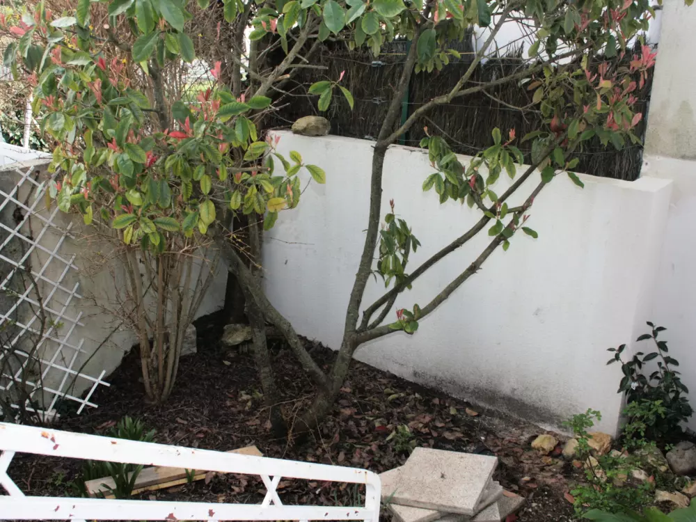 Maison de Vacances La Tranche-sur-Mer 399